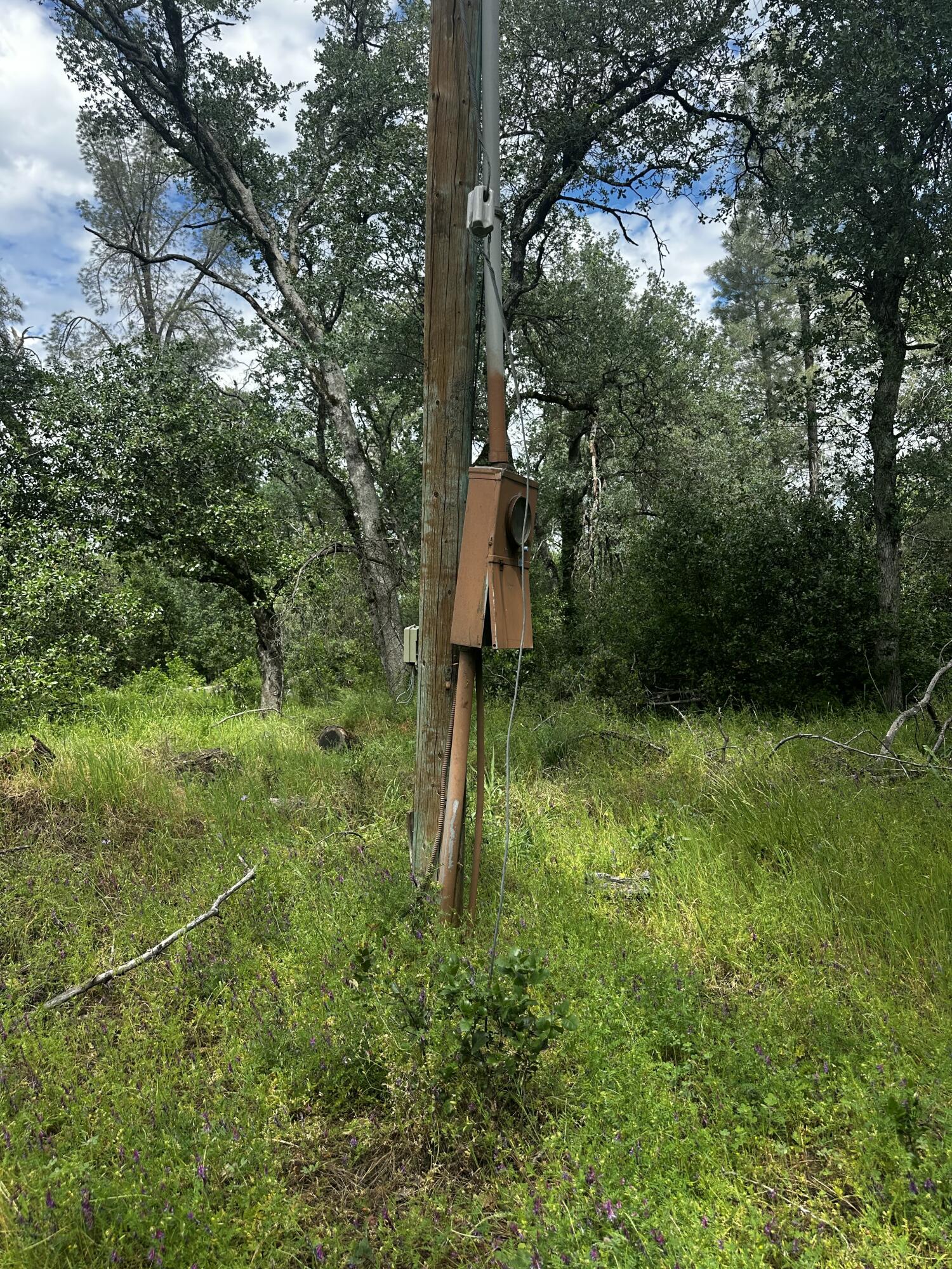 Darlene's Way Anderson, CA 96007 - Photo 13 of 16 IMG_7173 2