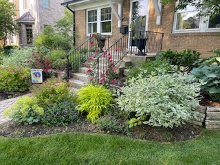 222 Wisner Street Park Ridge, IL 60068 - Photo 3 of 9