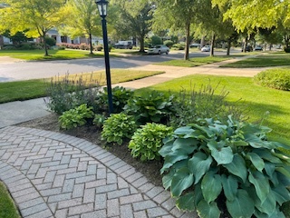 222 Wisner Street Park Ridge, IL 60068 - Photo 9 of 9