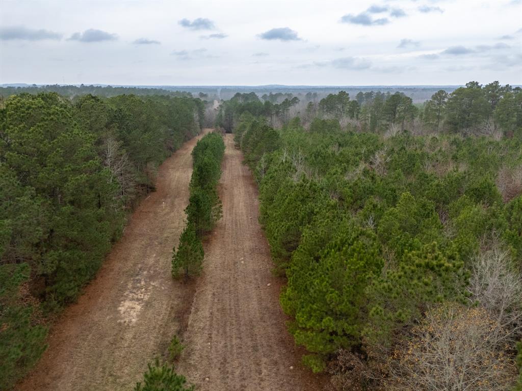 0 Blocker Road Marshall, TX 75672 - Photo 23 of 24 a view of a street with a yard