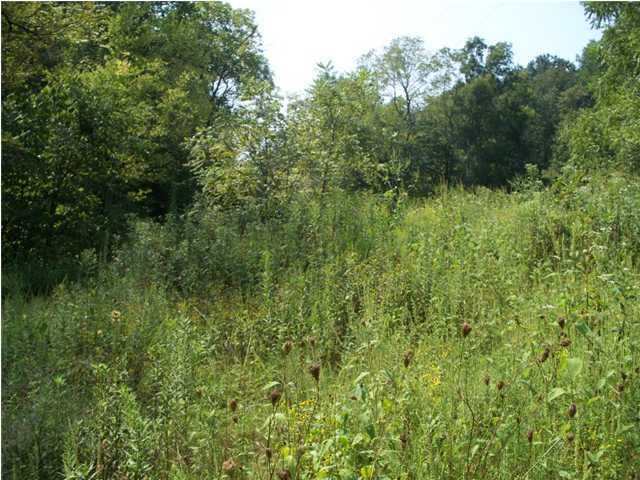 2232 Lg&e Road Magnolia, KY 42757 - Photo 4 of 7 Additional Photo