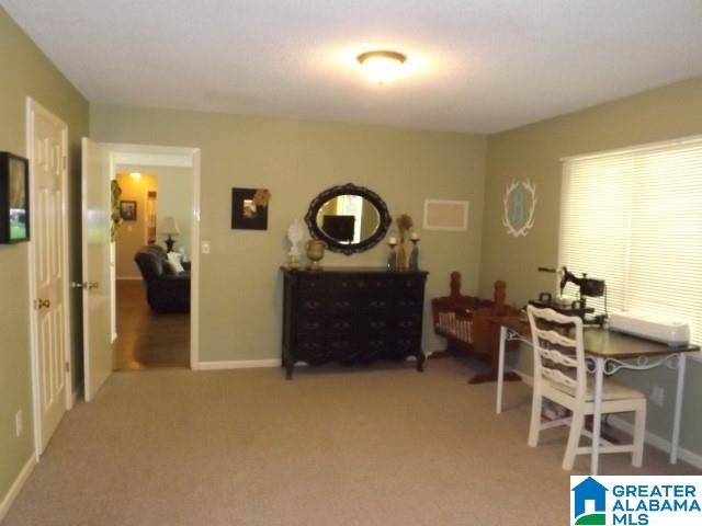 812 Sunshine Avenue Oneonta, AL 35121 - Photo 37 of 47
