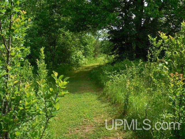 8814 Rousseau Road Mass City, MI 49948 - Photo 20 of 36