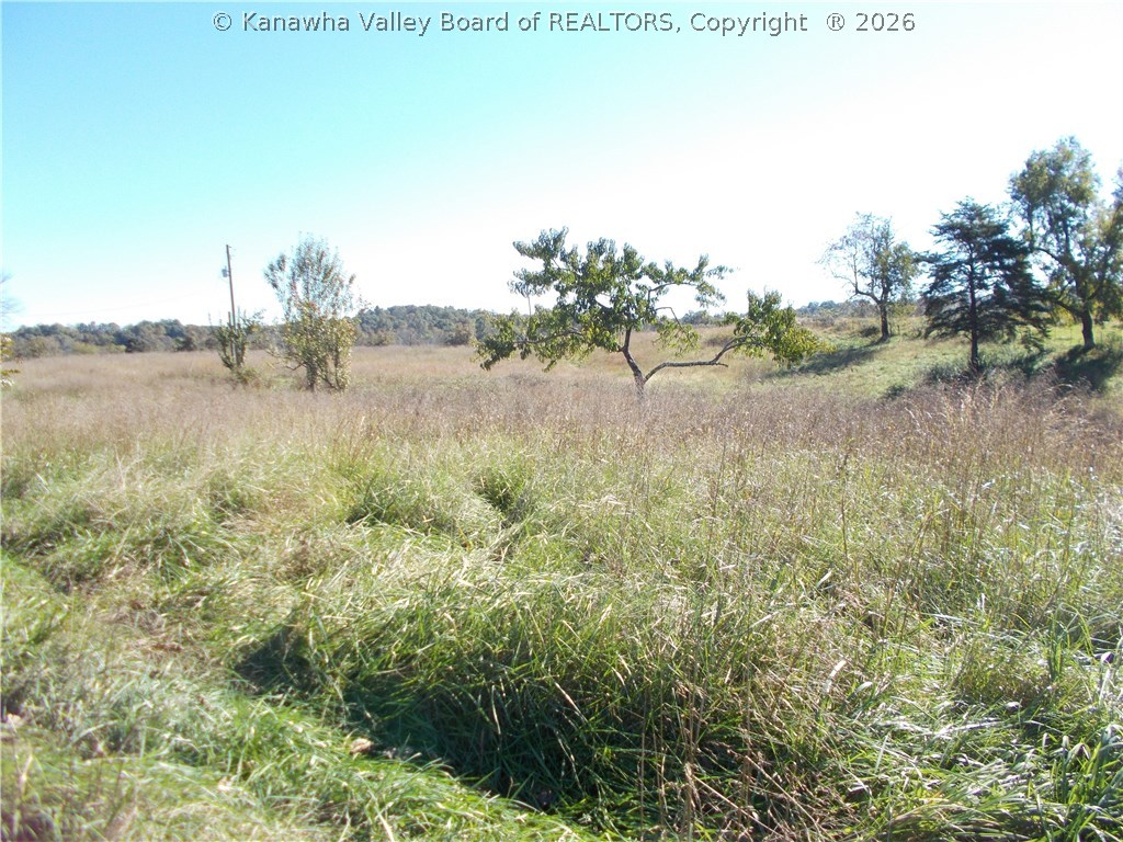 0 Flat Foot Road Apple Grove, WV 25502 - Photo 11 of 11 Gallery Image 11