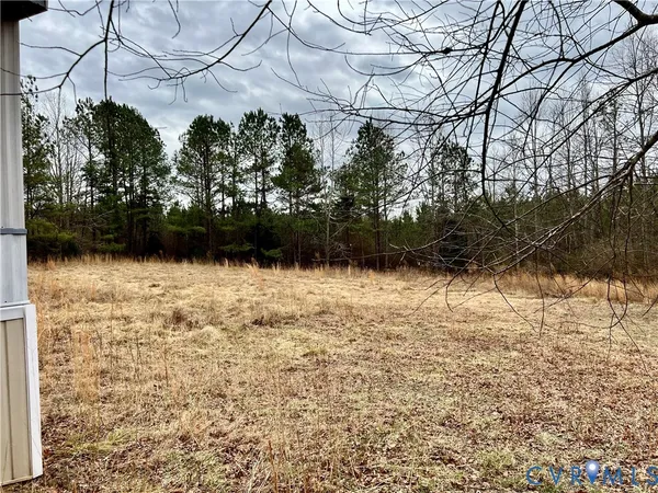 a view of backyard of house with green space