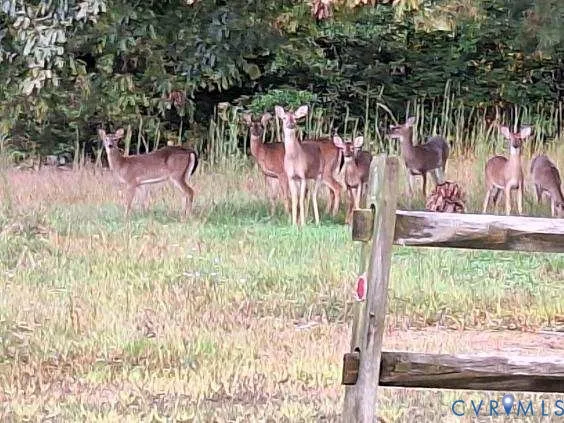 $145,000 | 846 Mechanic Drive, Dolphin, VA 23843