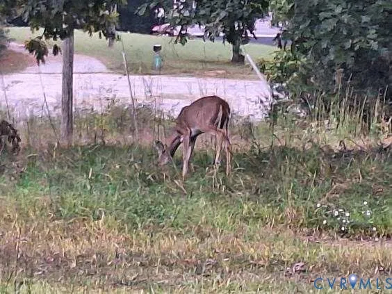 $145,000 | 846 Mechanic Drive, Dolphin, VA 23843