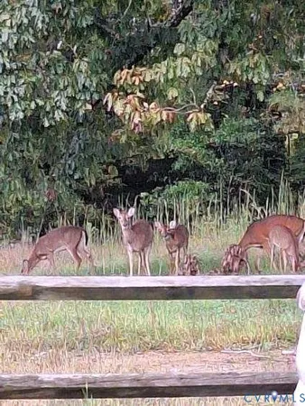 $145,000 | 846 Mechanic Drive, Dolphin, VA 23843