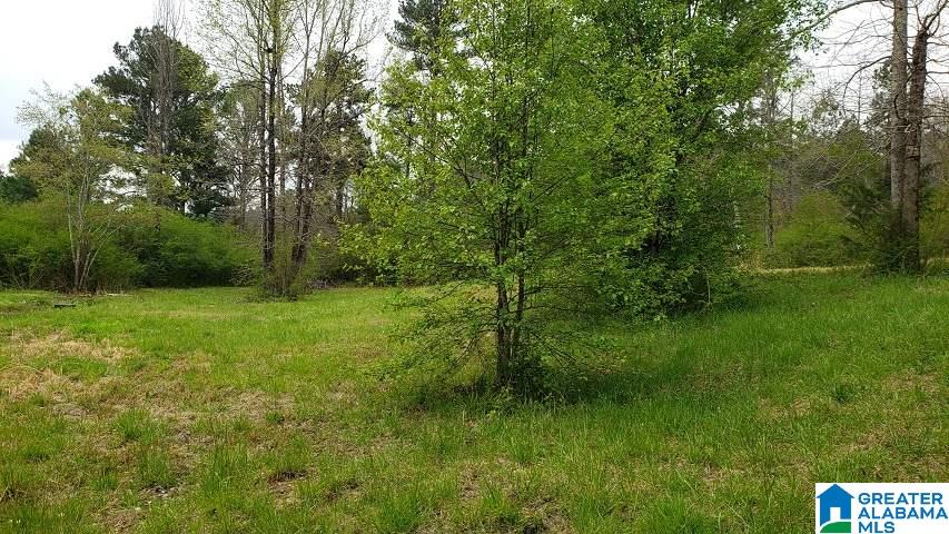 7080 Groundhog Road Morris, AL 35116 - Photo 1 of 7