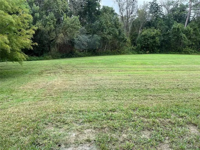 a view of a field with a trees in the background
