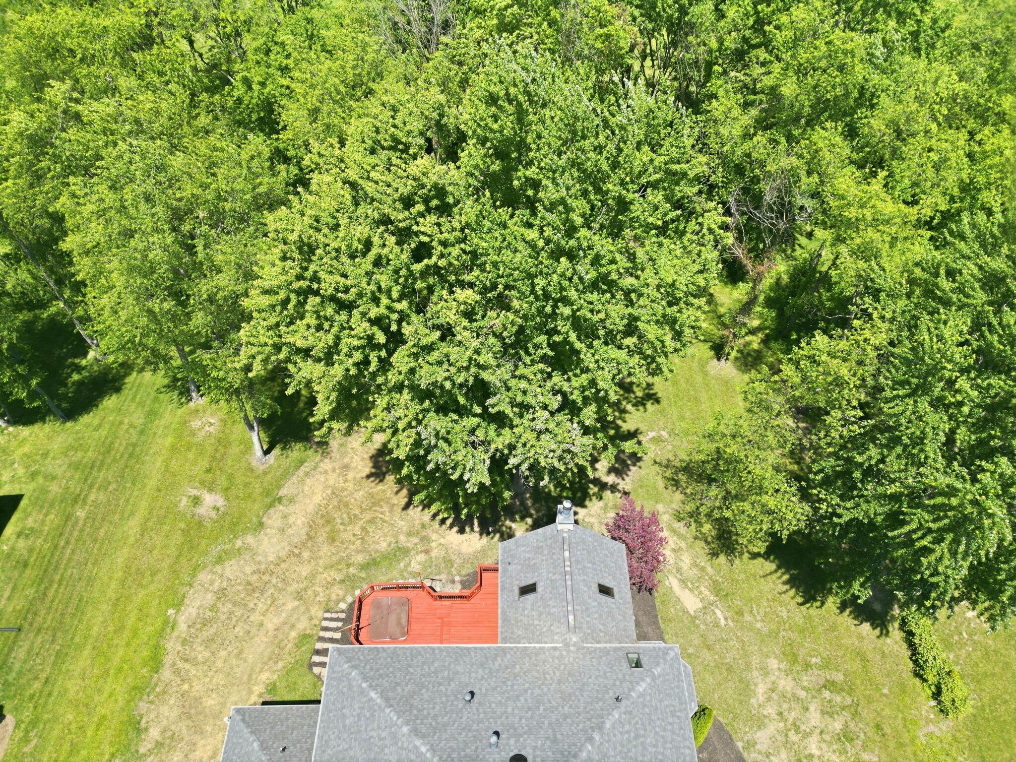 185 Bent Tree Road Sunbury, OH 43074 - Photo 99 of 132