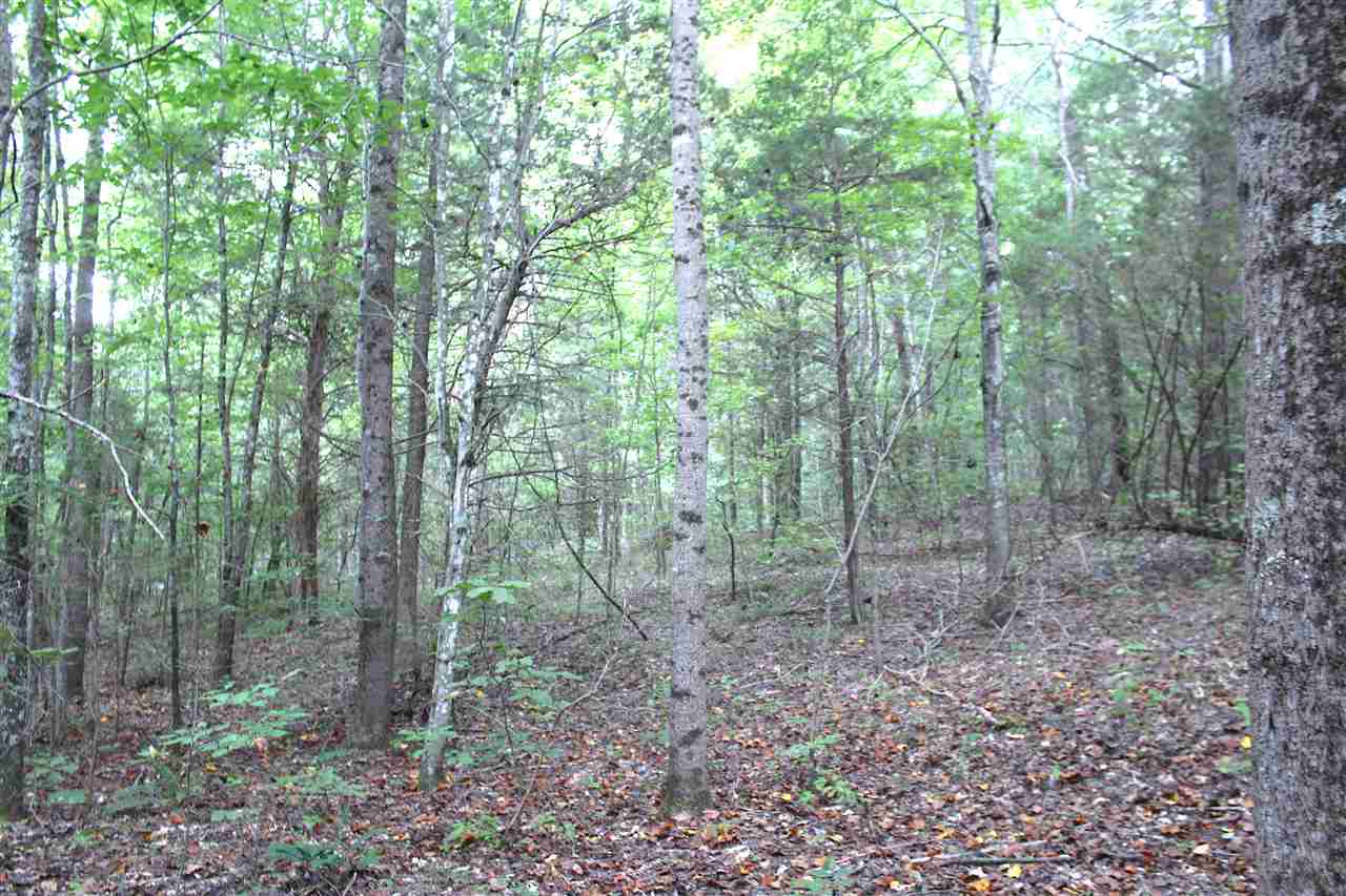 2039 Dexterville-Oak Ridge Road Morgantown, KY 42261 - Photo 10 of 17 Gallery Image 10