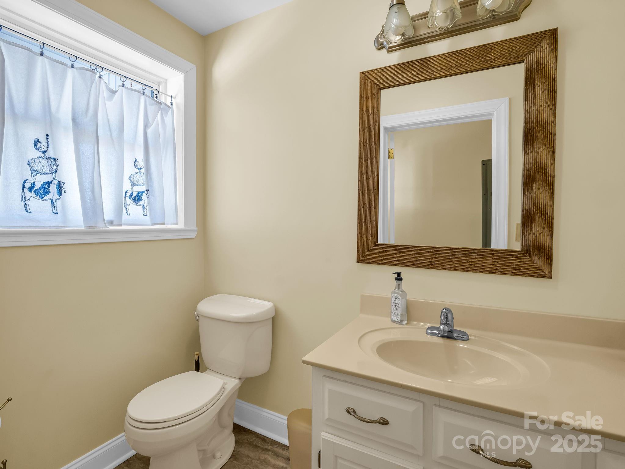 505 Crawley Gin Road Shelby, NC 28150 - Photo 17 of 48 a bathroom with a toilet a sink and a mirror