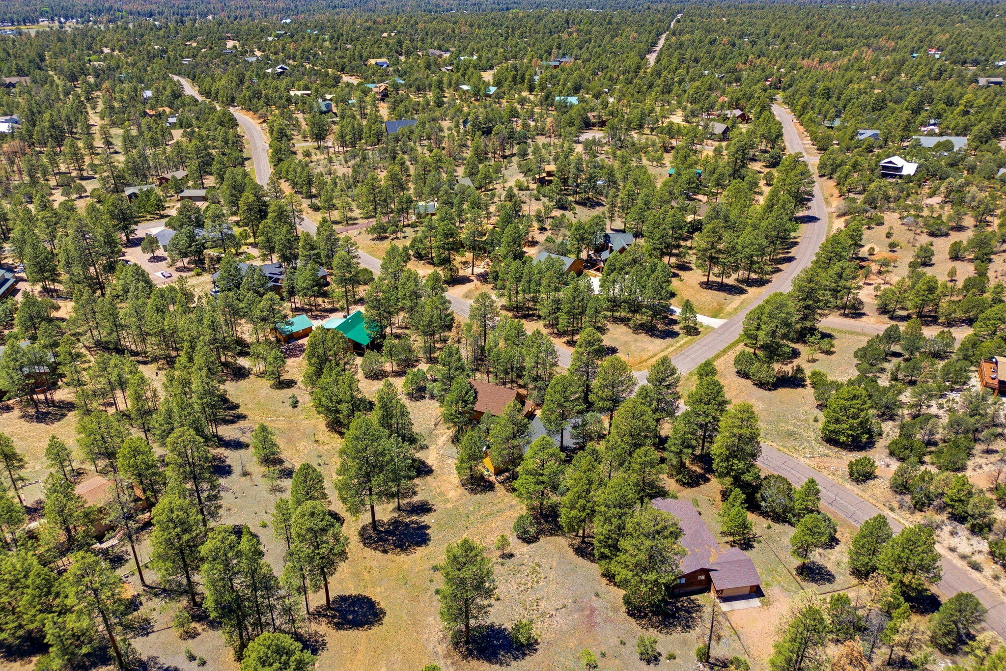 2905 Lodgepole Road Overgaard, AZ 85933 - Photo 38 of 42