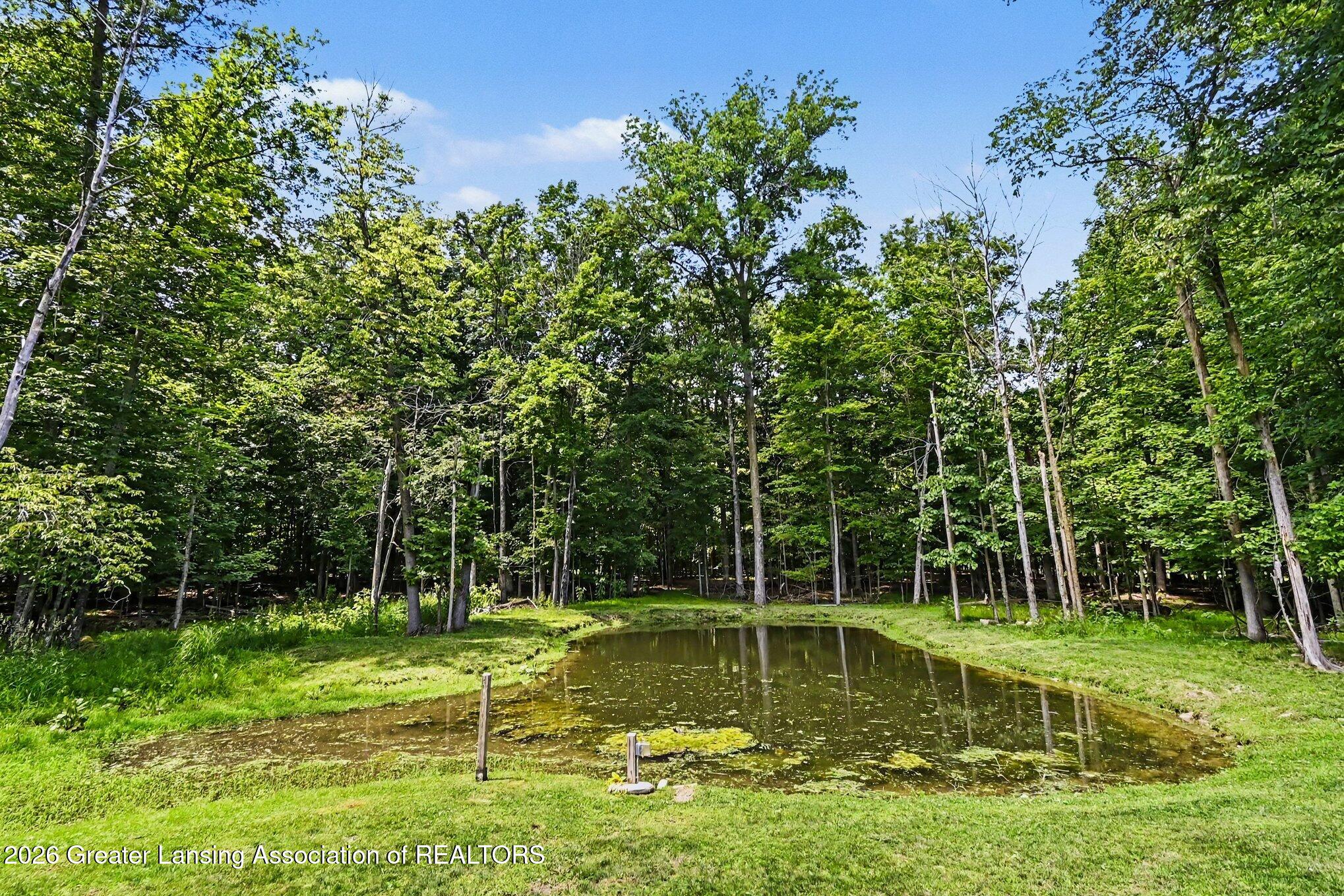 5439 North Wellman Road Woodland, MI 48897 - Photo 58 of 61 044_file_4284