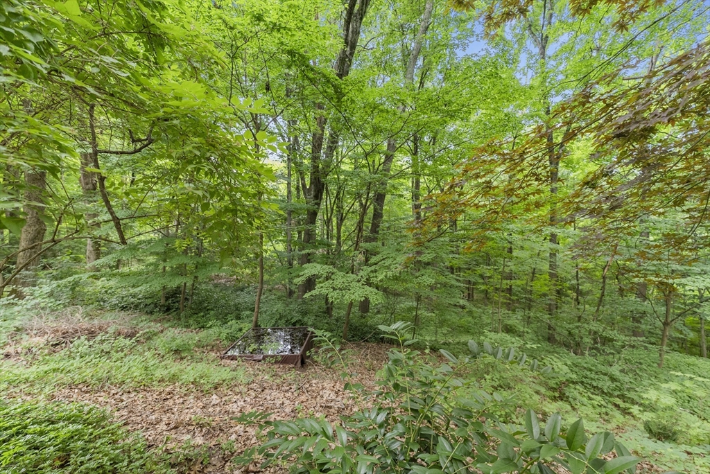 505 Mountain Road Wilbraham, MA 01095 - Photo 35 of 35 a view of a lush green forest with large trees