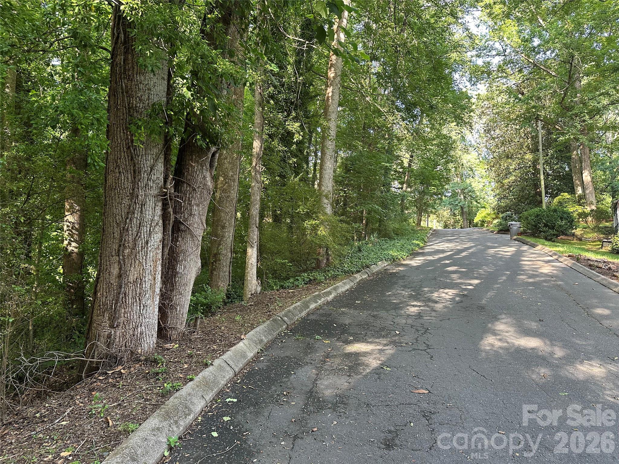 0 Briarcliff Road Rockwell, NC 28138 - Photo 12 of 25