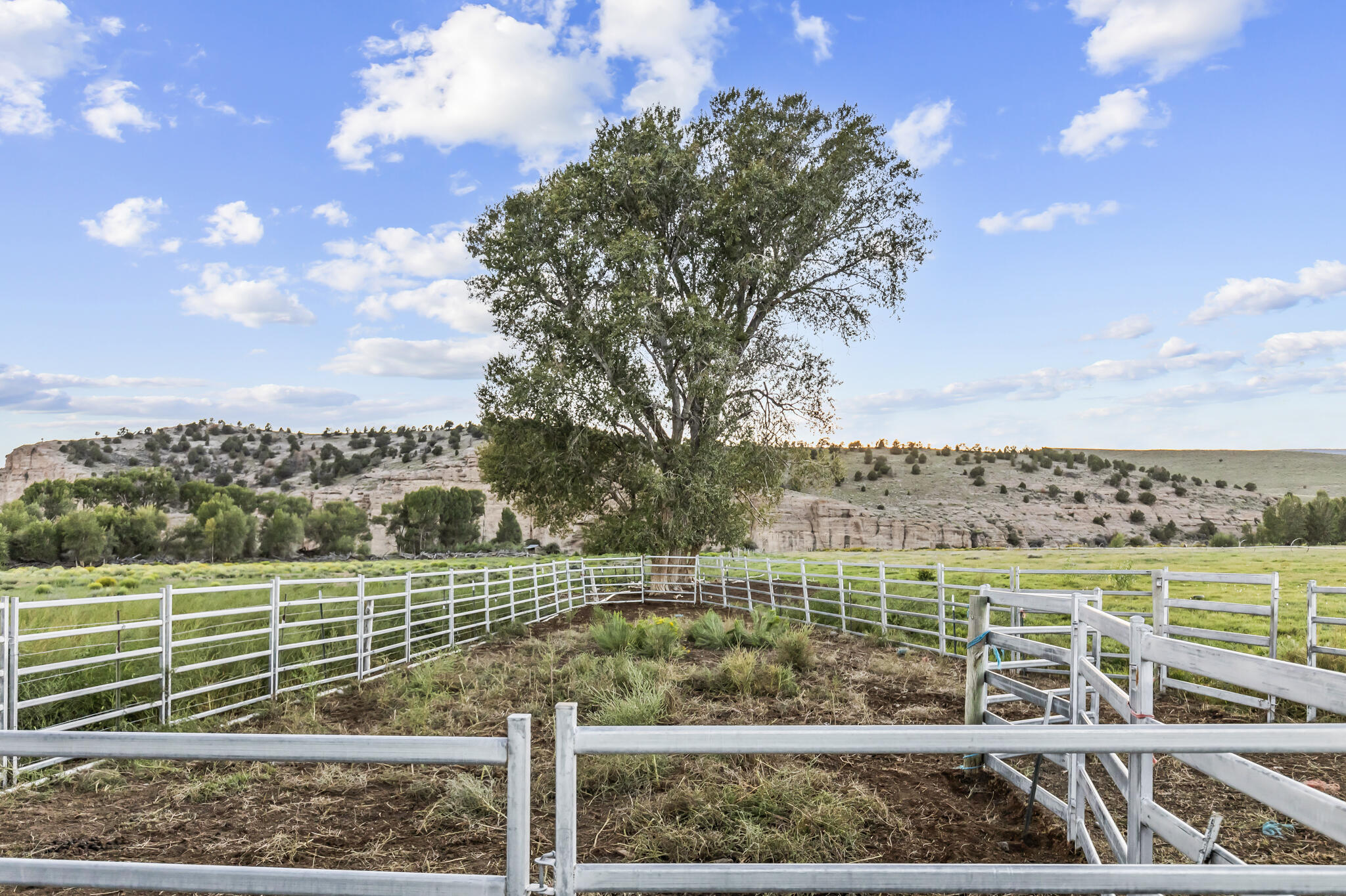 1240 South Black Cyn Road Antimony, UT 84712 - Photo 66 of 87 Holding corral down in the pasture/field