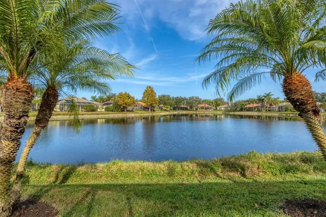 a view of a lake with palm trees