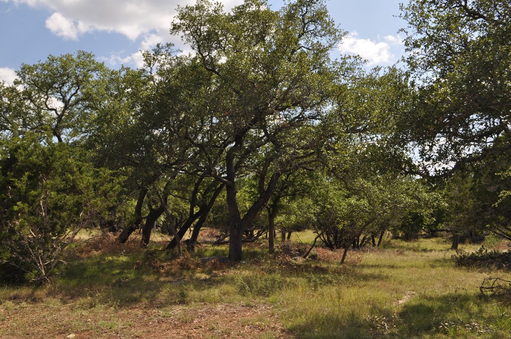 541 Rough Hollow Road Johnson City, TX 78636 - Photo 18 of 30 Gallery Image 18