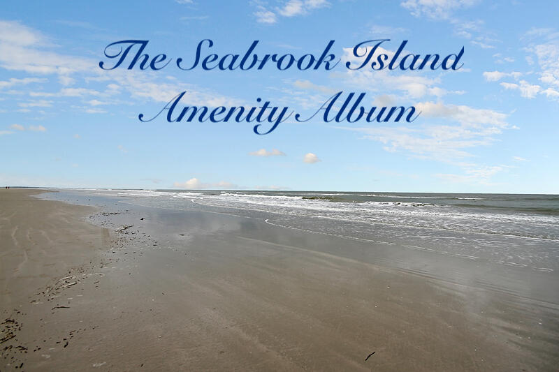 444 Double Eagle Trace Seabrook Island, SC 29455 - Photo 31 of 51 1 Miles of Pristine Beaches