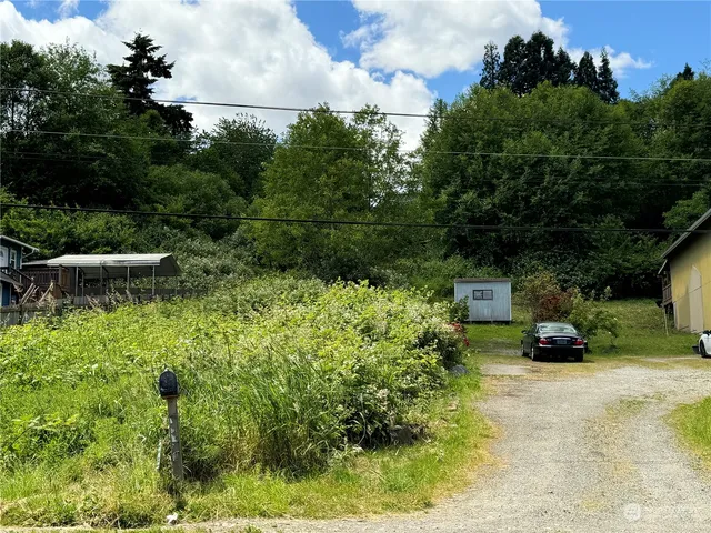 a view of a backyard with plants and a patio