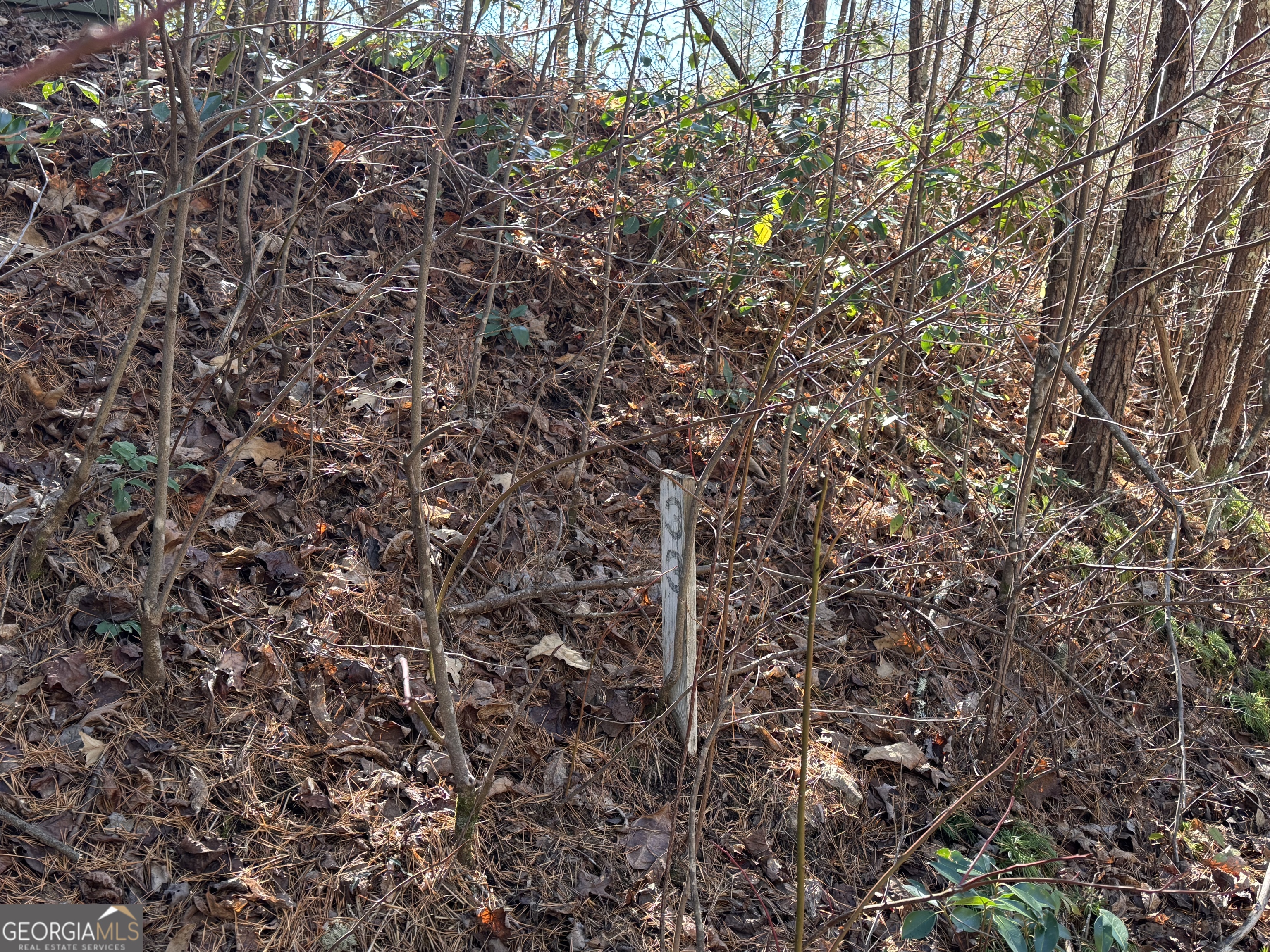 Lot 33 East Ridge Lane Ellijay, GA 30536 - Photo 6 of 8 a view of a tree