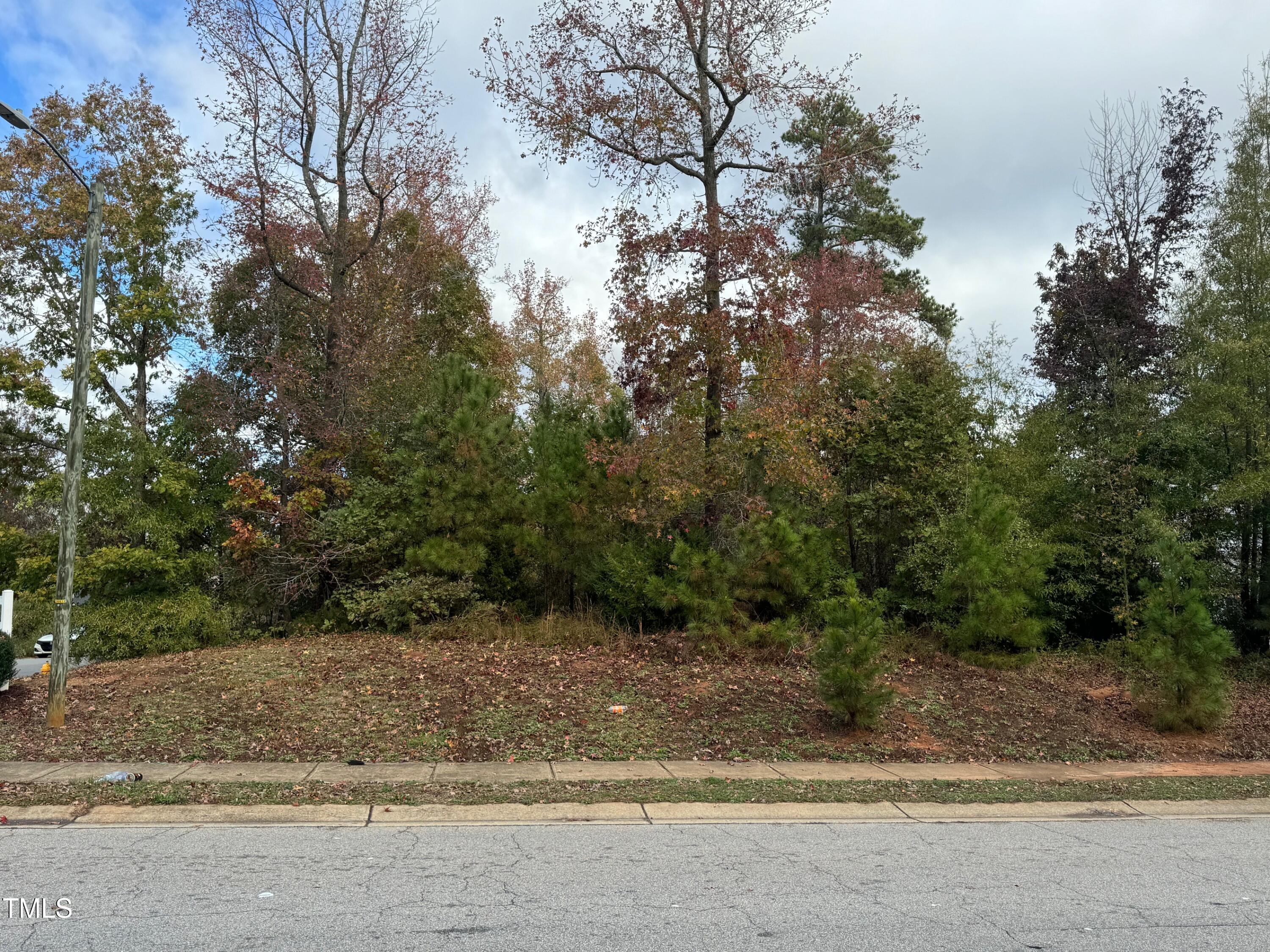 3641 Cyrus Street Raleigh, NC 27610 - Photo 2 of 3 IMG_9266