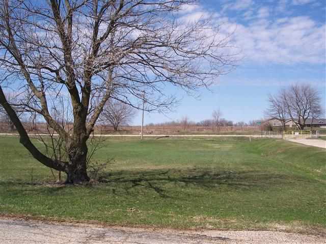 832 Drexel Road Lake Summerset, IL 61019 - Photo 1 of 11 a view of a field with a tree