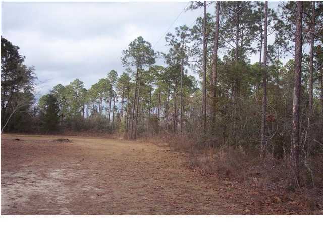 Xx Xx Goldsmith Road DeFuniak Springs, FL 32435 - Photo 3 of 4 Gallery Image 3