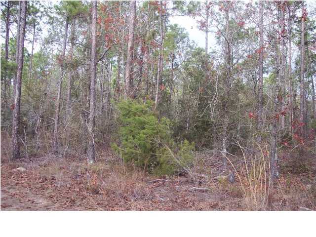 Xx Xx Goldsmith Road DeFuniak Springs, FL 32435 - Photo 4 of 4 Gallery Image 4