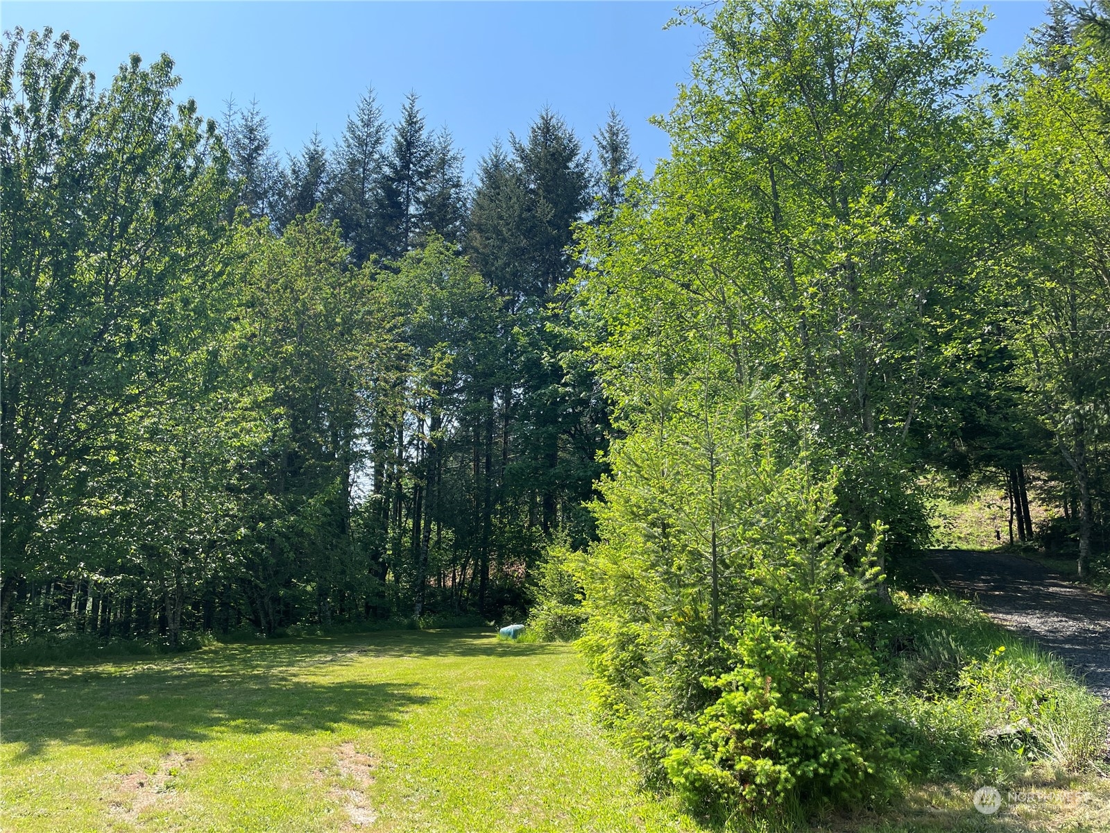 254 Tangen Road Woodland, WA 98674 - Photo 3 of 26 Gallery Image 3