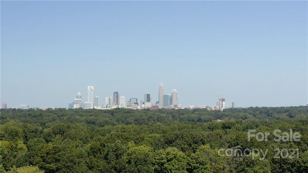 528 Billingsley Road, Unit 1010D Charlotte, NC 28211 - Photo 19 of 19 Gallery Image 19