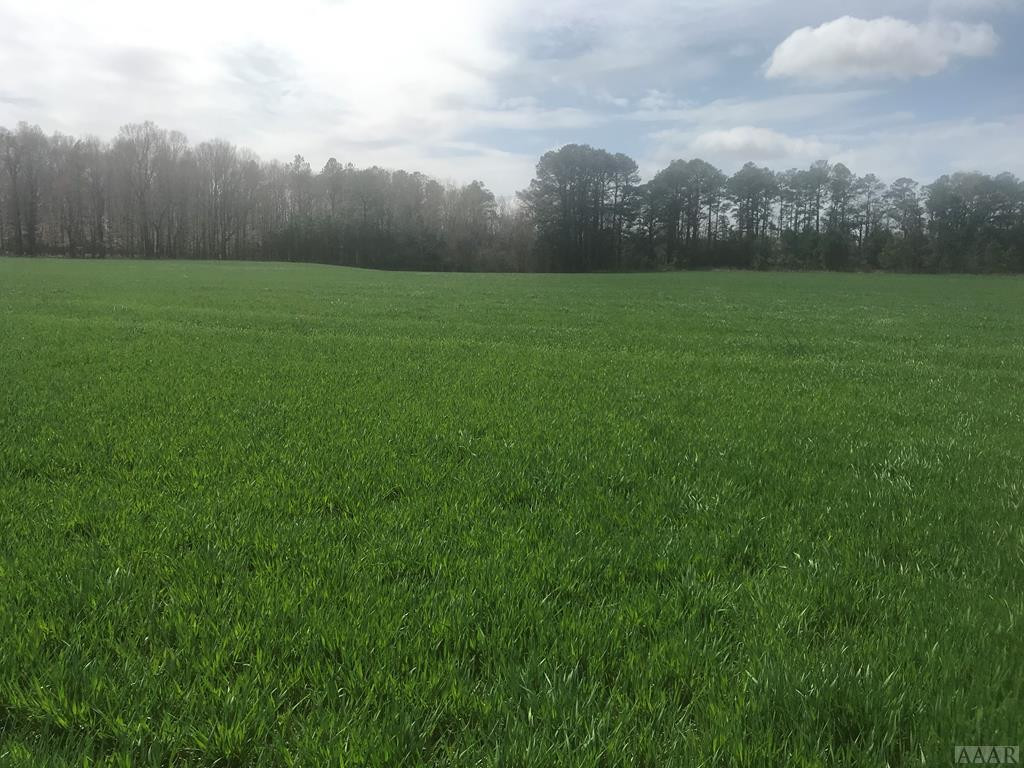 Lot 2 Shipyard Road Hertford, NC 27944 - Photo 1 of 4 Main View