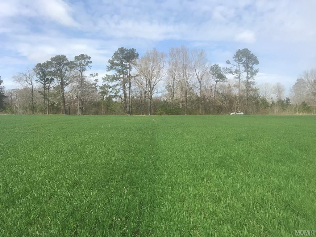 Lot 2 Shipyard Road Hertford, NC 27944 - Photo 2 of 4 Lot view toward Shipyard Rd