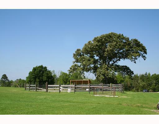 1252 Walt Tanner Road Lucedale, MS 39452 - Photo 4 of 8 Additional Photo