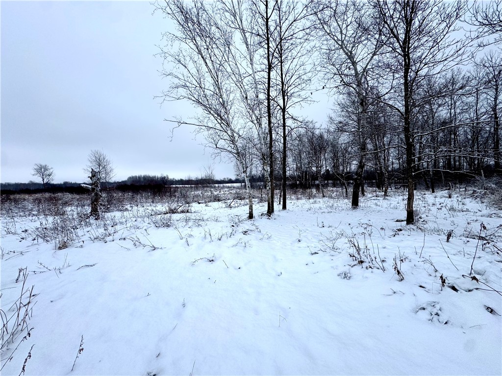 0 326th Street Boyd, WI 54726 - Photo 10 of 14