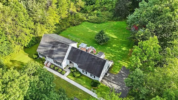 a view of a backyard with plants