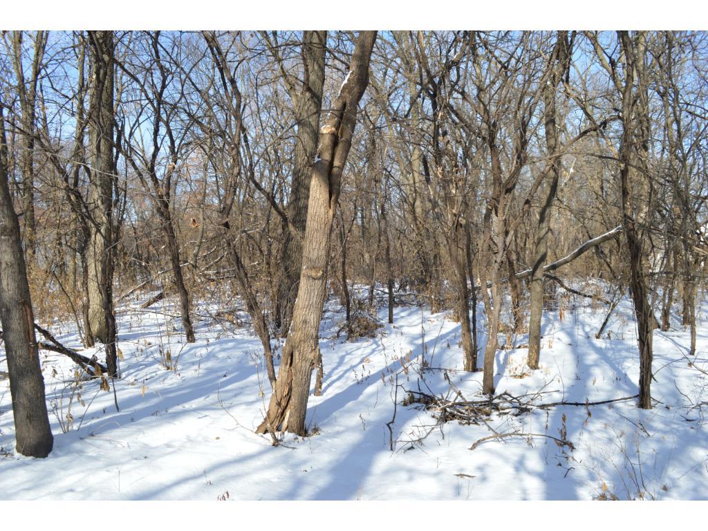 620 Dayton Road Champlin, MN 55316 - Photo 5 of 11 Gallery Image 5