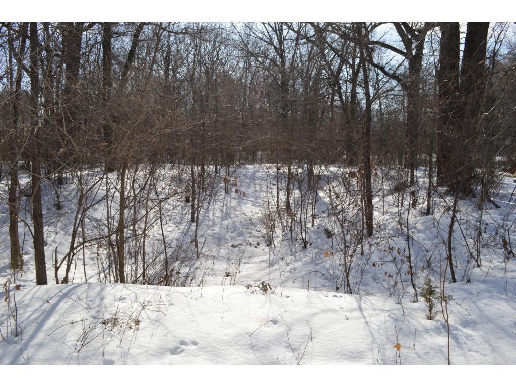 620 Dayton Road Champlin, MN 55316 - Photo 6 of 11 Gallery Image 6
