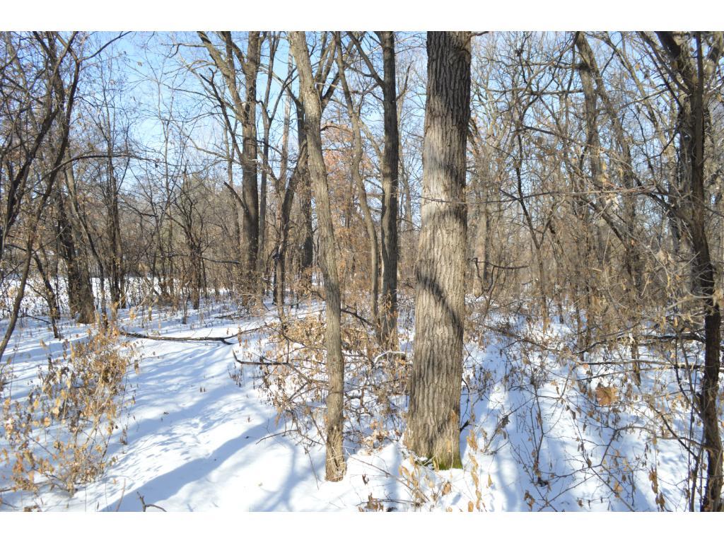 620 Dayton Road Champlin, MN 55316 - Photo 7 of 11 Gallery Image 7