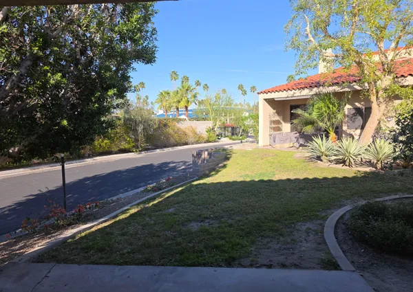 a view of a yard with an tree