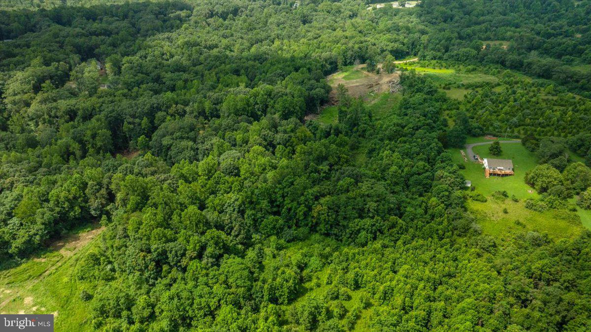 Lot G Jones Place King George, VA 22485 - Photo 14 of 24