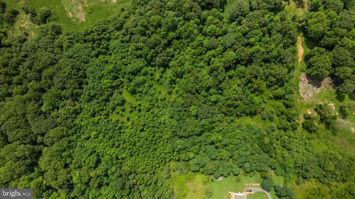 Lot G Jones Place King George, VA 22485 - Photo 22 of 24