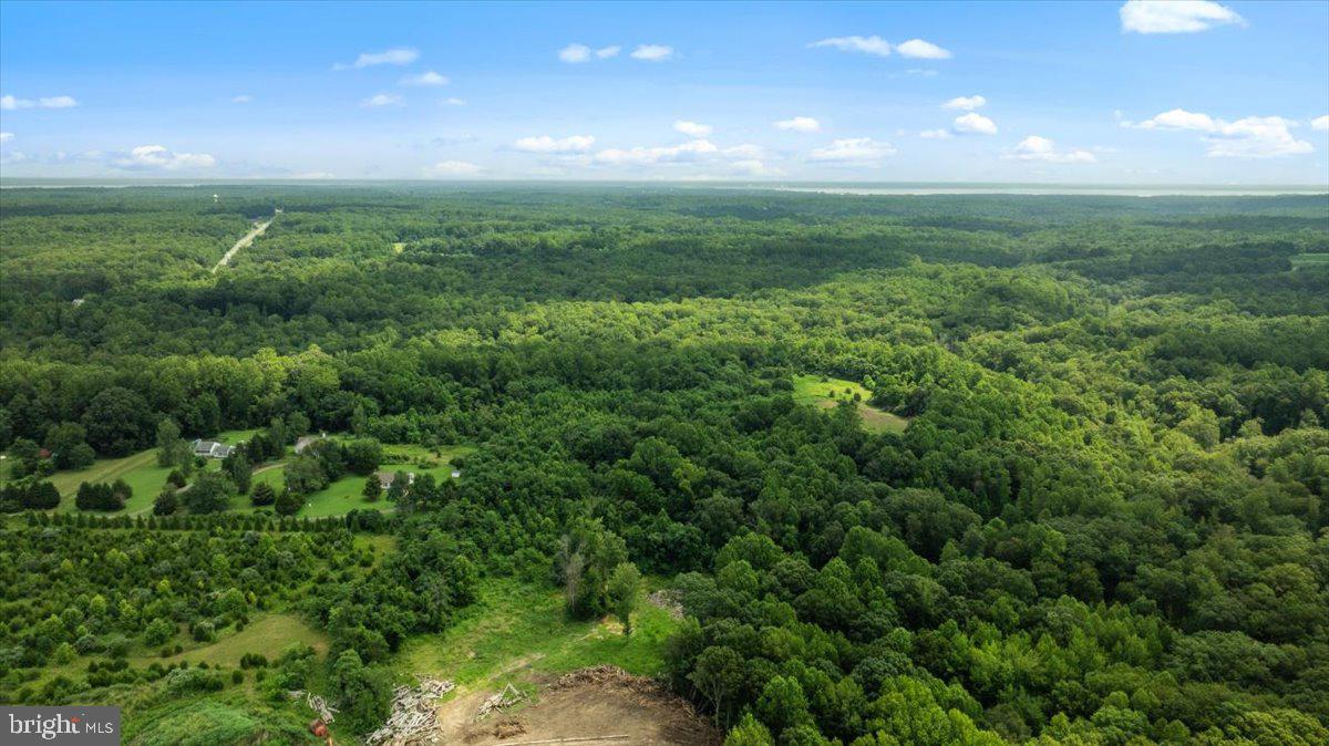 Lot G Jones Place King George, VA 22485 - Photo 6 of 24