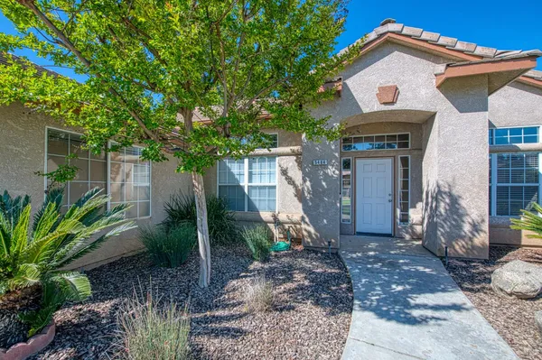 a view of a house with a tree and plants