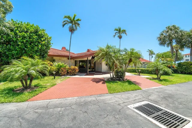 a palm tree sitting in front of a house with potted plants