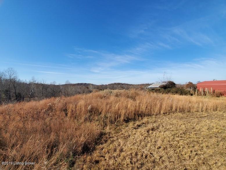148 Turci Nevins Road Caneyville, KY 42721 - Photo 10 of 26 148 Turci Nevins Rd10