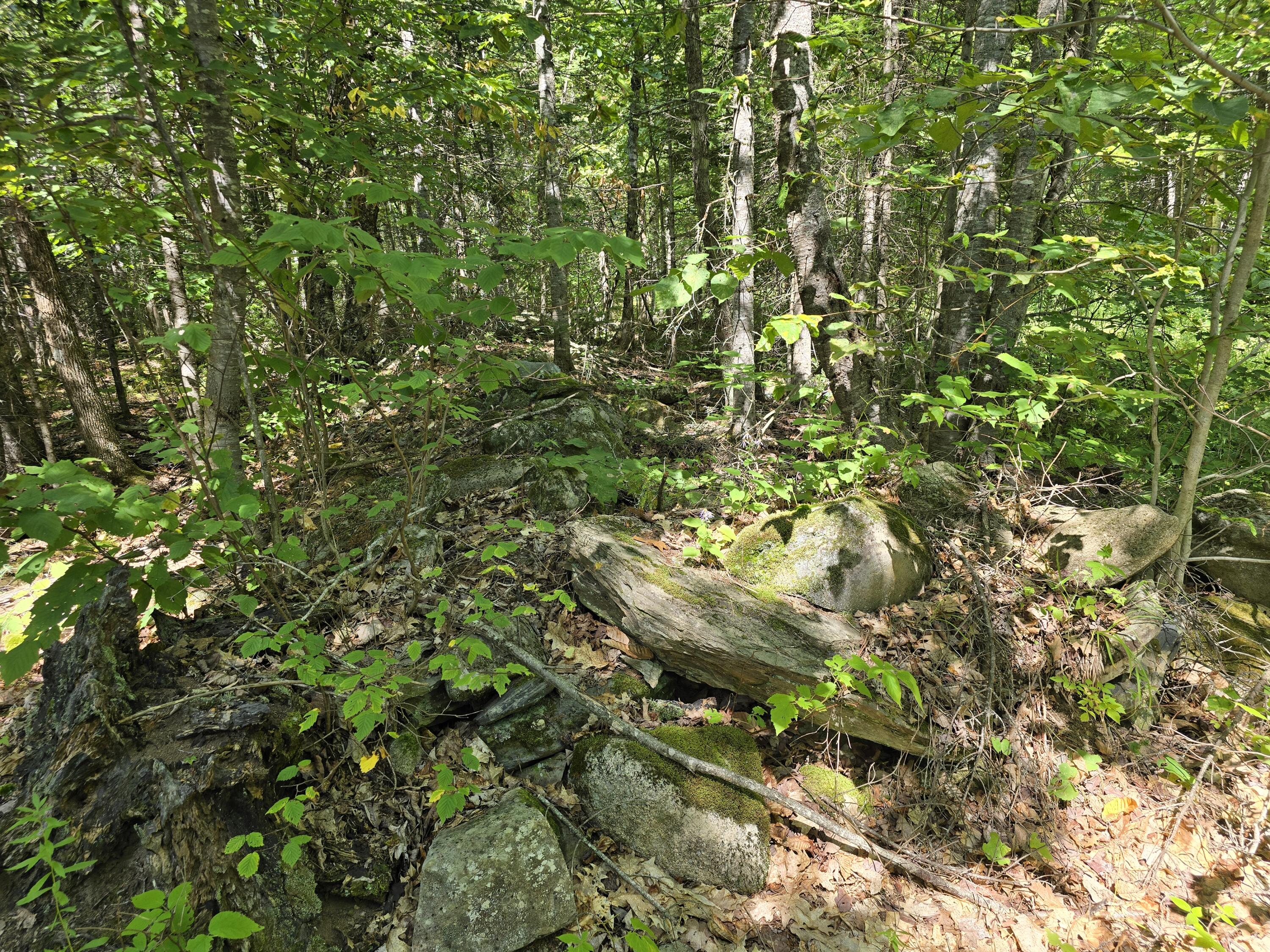 0 French Road Levant, ME 04456 - Photo 13 of 16 20260829_124515