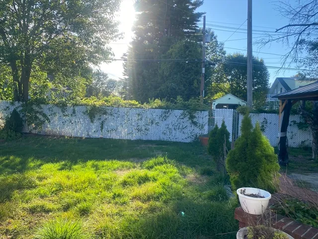 a view of back yard of green space